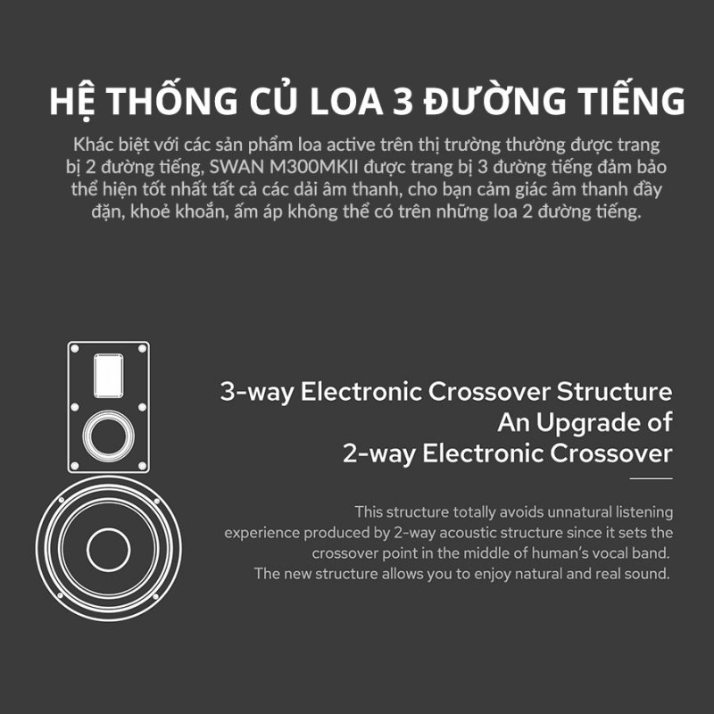 Loa HIVI SWAN M300MKII - HIVI SWAN Việt Nam